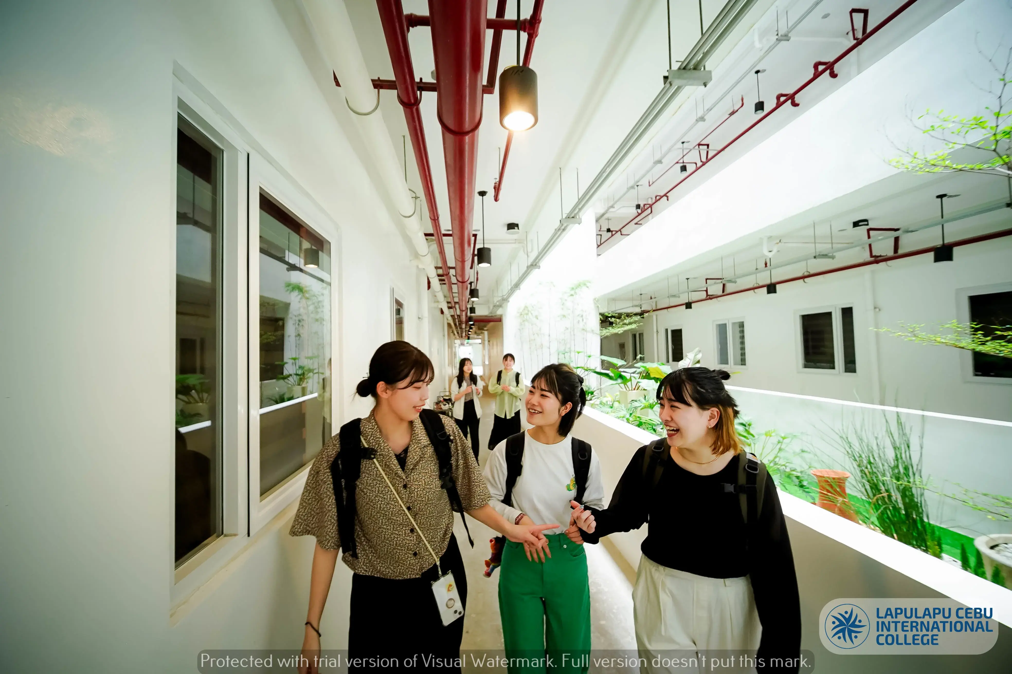 Program and Activities